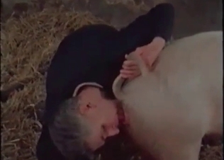 Old dirty zoophile fucks a cute farm animal in the doggy pose