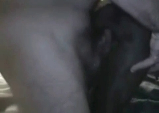 Zoophile male is holding and fucking a nice doggy