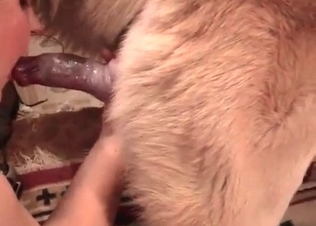 Sexy puppy drills a juicy tight hole of a human