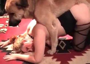 Sexy puppy drills a juicy tight hole of a human