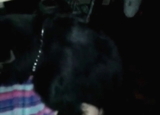 Black pointer drills her pussy in the doggy style pose