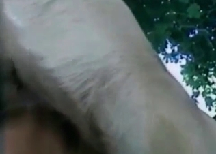 Doggy's dick deep inside babe's moist vagina is looking hot
