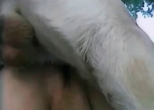 Doggy's dick deep inside babe's moist vagina is looking hot