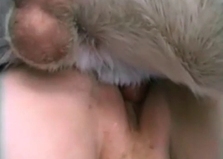 Doggy's dick deep inside babe's moist vagina is looking hot