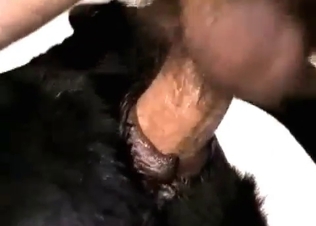 Dirty zoophile fucker is drilling a nice dark puppy
