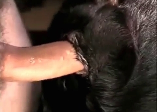 Dirty zoophile fucker is drilling a nice dark puppy