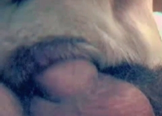 Sex with a doggy in the awesome close-up video