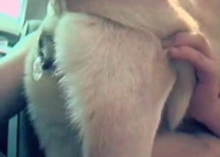 Sex with a doggy in the awesome close-up video