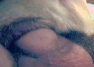 Sex with a doggy in the awesome close-up video