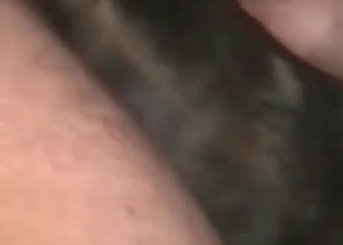 Tight dick is a juicy doggy's asshole in the zoo scene