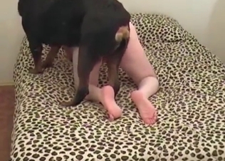 Fast sex with a doggy in the doggy style position