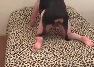 Fast sex with a doggy in the doggy style position