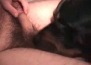 Hot young dog is being fucked hard in the asshole