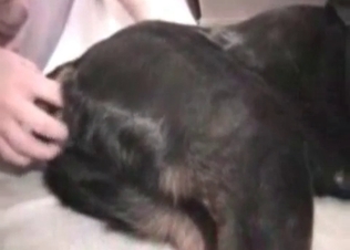Hot young dog is being fucked hard in the asshole