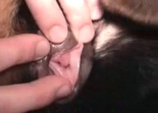 Hot young dog is being fucked hard in the asshole
