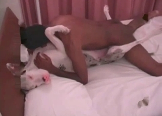 Black zoophile fucks a nice hound in the amateur scene