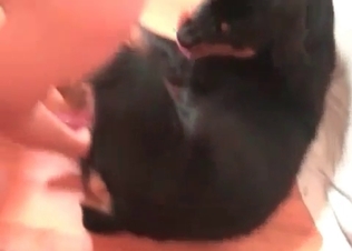 Another awesome bestial sexual act with a slutty babe