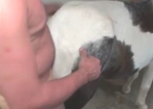 Small young pony is being fucked by a crazy zoophile