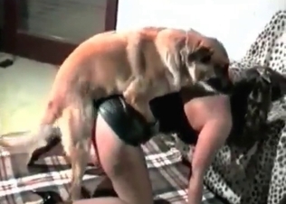 Chick is crowing while playing with her doggy