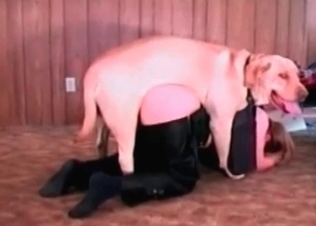 Massive Retriever fucks with an awesome slender zoophile