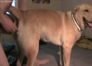 Horny young hound is being pounded from behind