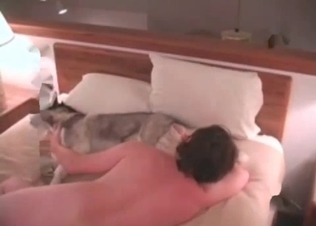 Sexy young husky is playing with a zoophile