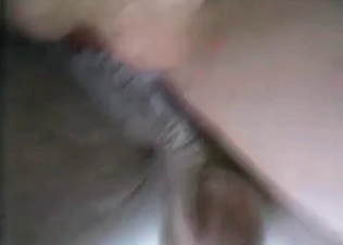 Busty naked slut want to play with her dog for a little