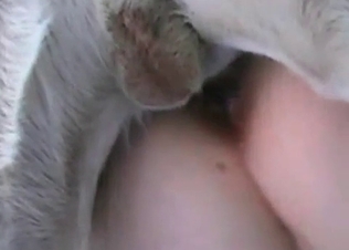 Busty naked slut want to play with her dog for a little