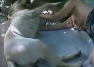 Busty naked slut want to play with her dog for a little