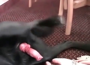 Quick blowjob for a nice cum-loaded doggy