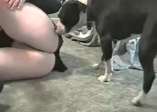 Muscled black hunter fucks a tight cunt in the missionary pose