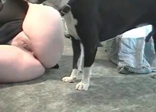 Muscled black hunter fucks a tight cunt in the missionary pose
