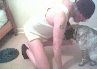 Small doggy is enjoying perverted animal porn
