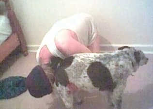 Small doggy is enjoying perverted animal porn