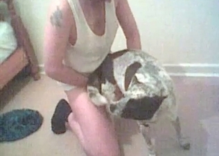 Small doggy is enjoying perverted animal porn