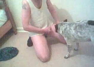 Small doggy is enjoying perverted animal porn