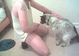 Small doggy is enjoying perverted animal porn
