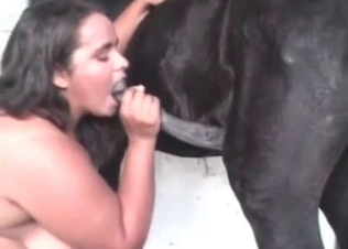 Small black pony is having a hot sex with a fat girl