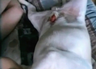 All-natural woman is jumping on her doggy's dick