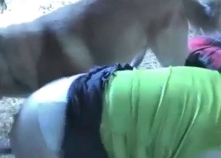Farm girl is enjoying insane sex with a doggy