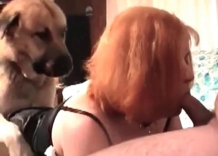 Redhead girl is blowing a juicy dog cock in the bed
