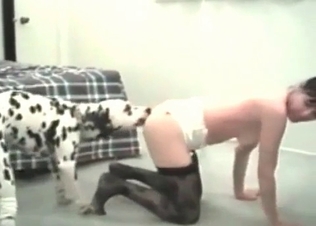 Dalmatian is sucking and fucking her snatch