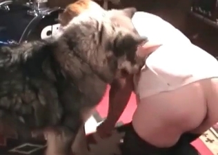 Fatty slut is being fucked hard by a nice husky