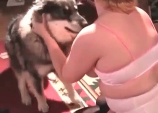 Fatty slut is being fucked hard by a nice husky