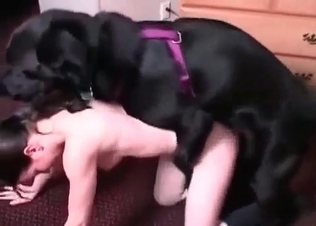 Brutal black dog impales her small snatch in the bedroom