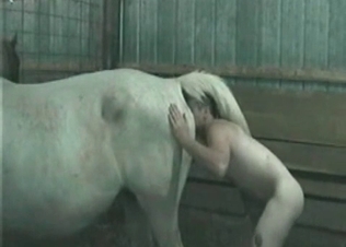 Male zoophile is fucking with a cow at the old farm