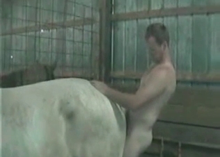 Male zoophile is fucking with a cow at the old farm