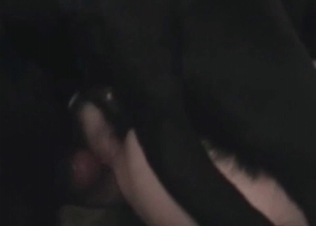 Short-haired doggy fucks her small asshole