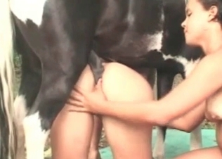 Animal sex threesome with the awesome babes and stallion