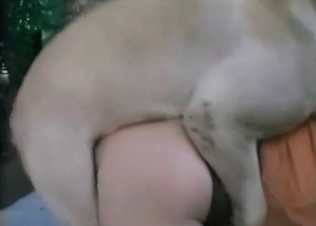 Babe in the sunglasses is swallowing doggy's sperm